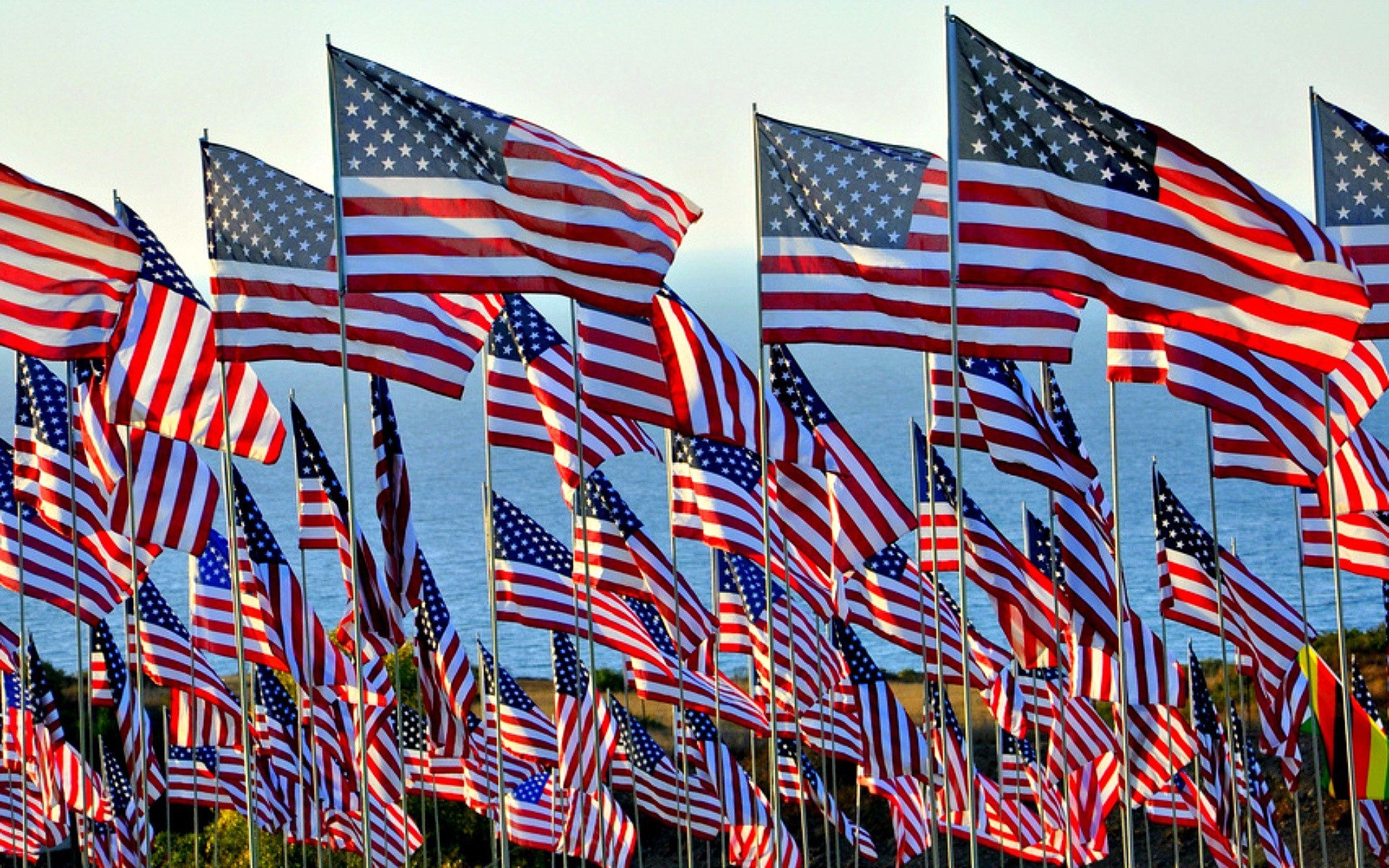 4th Of July Wallpaper Colourful Background Photos