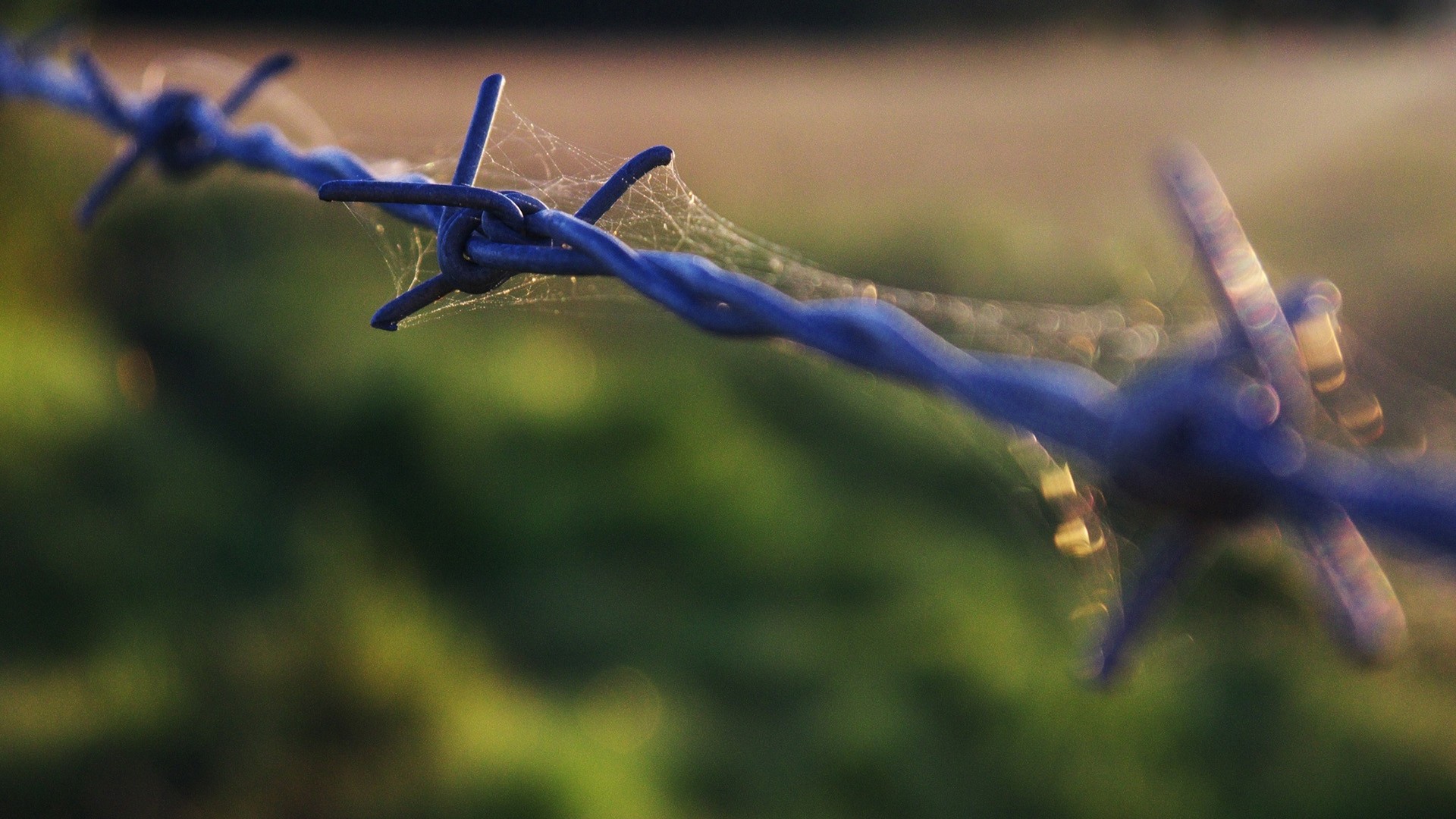 Barb Wire Puter Wallpaper Desktop Background