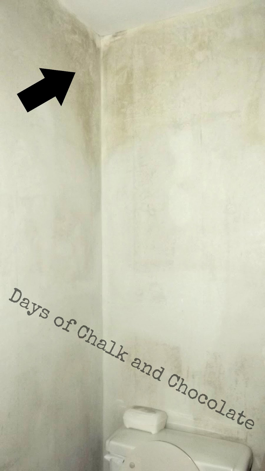 Free download Easy Paste Ready Mixed Wallpaper Paste in 25 45 10kg Tubs