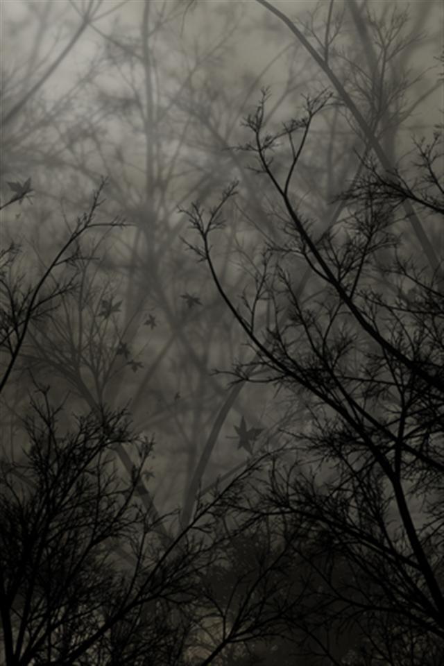 Dark Forest iPhone Wallpaper S 3g