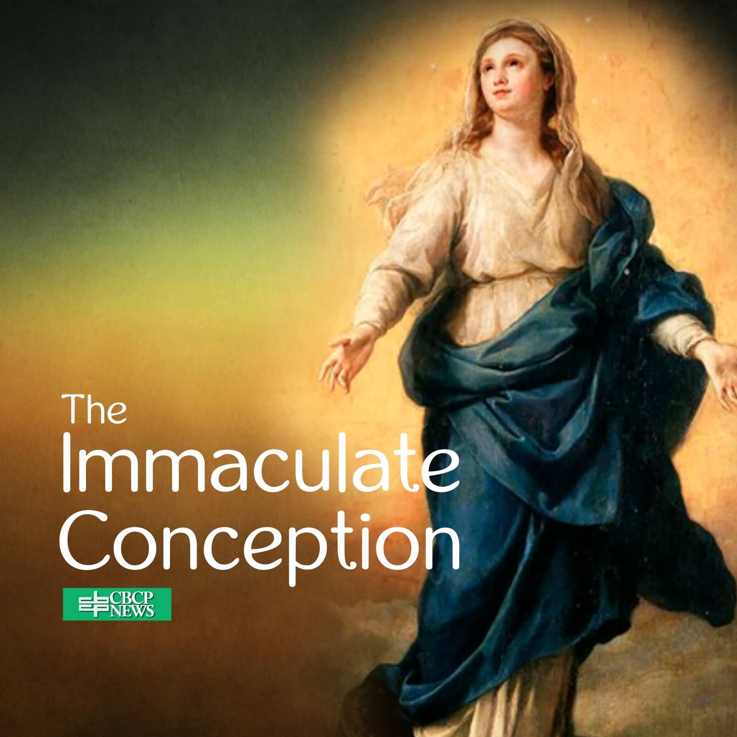 Immaculate Conception Day Pictures And Photos