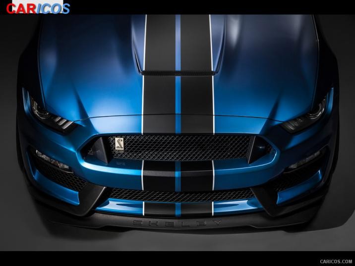 Ford Mustang Shelby Gt350r Front Wallpaper iPad