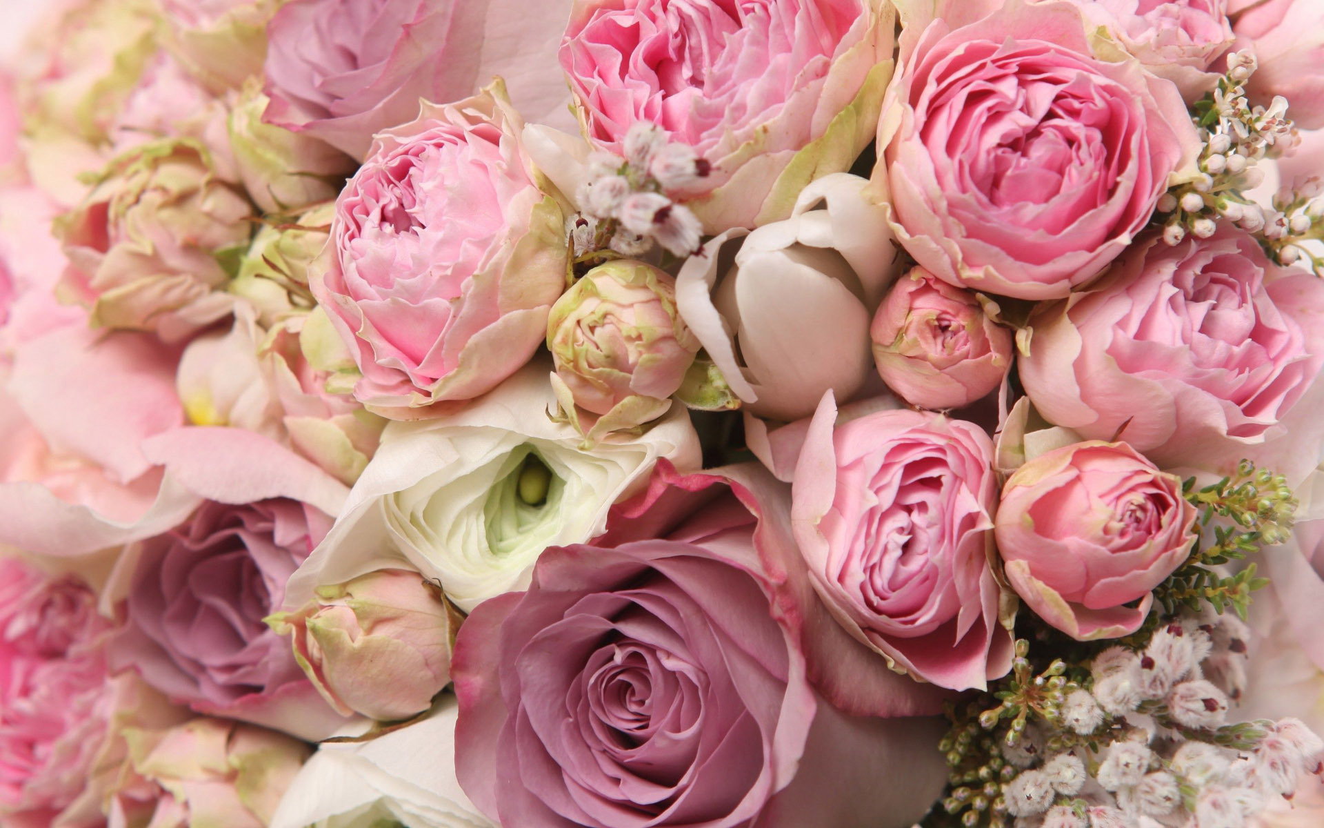 Roses And Peonies Bouquet Wallpaper