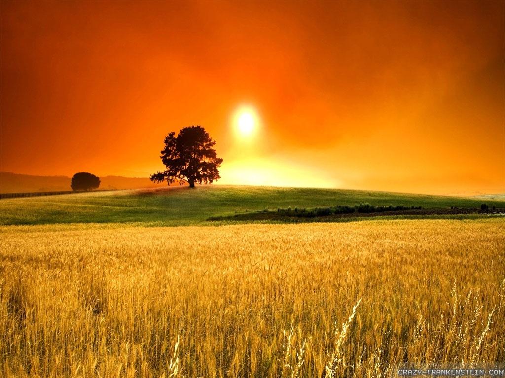 Sunny Day Hot Summer Wallpaper Weather Background