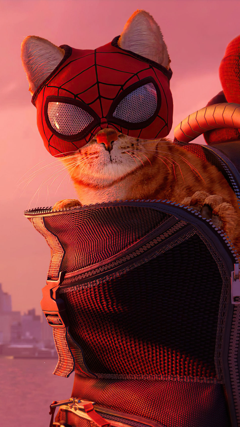 Spider cat Spider man Miles Morales 2021 Game 4K Ultra HD Mobile 950x1689
