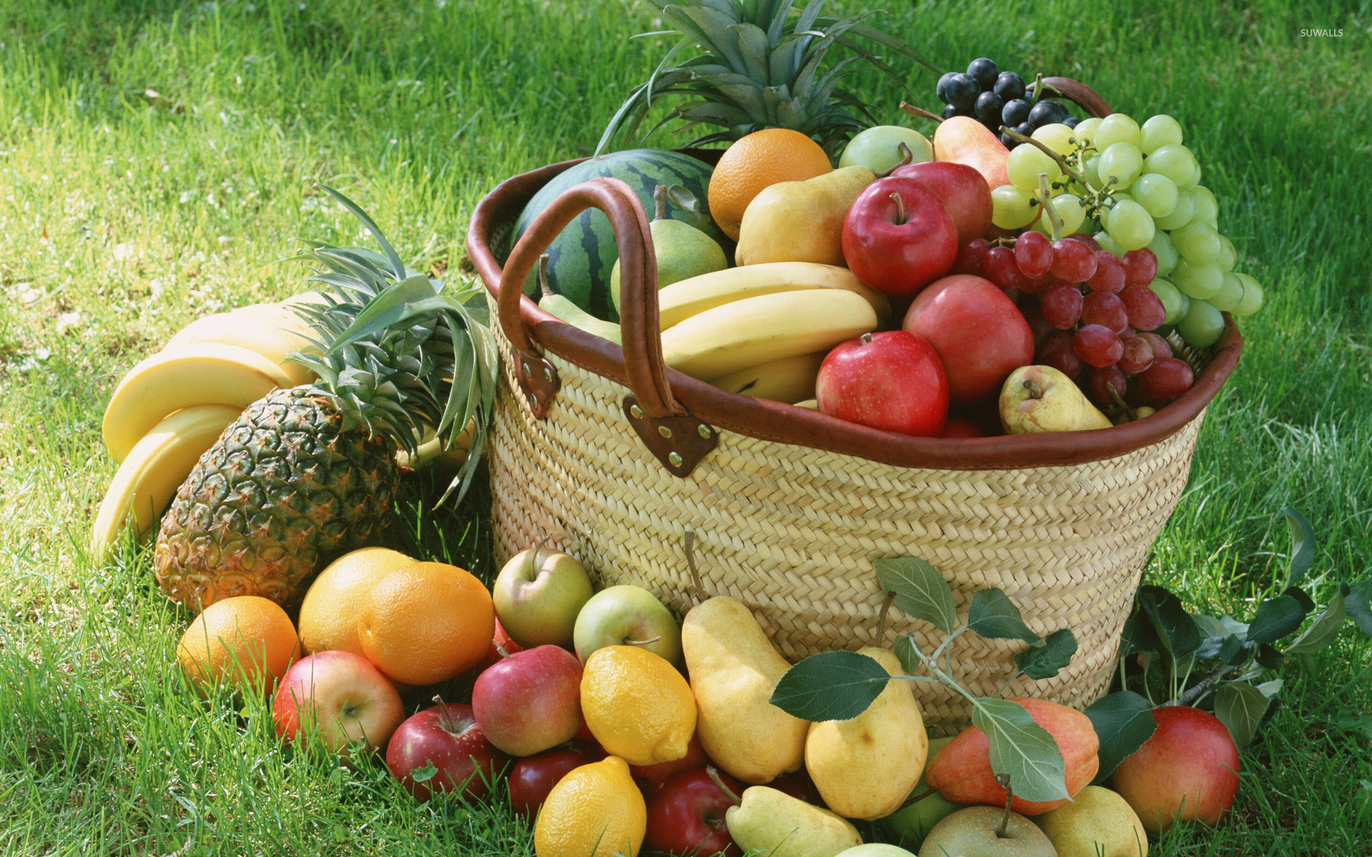 Fruit Basket Wallpaper Photography
