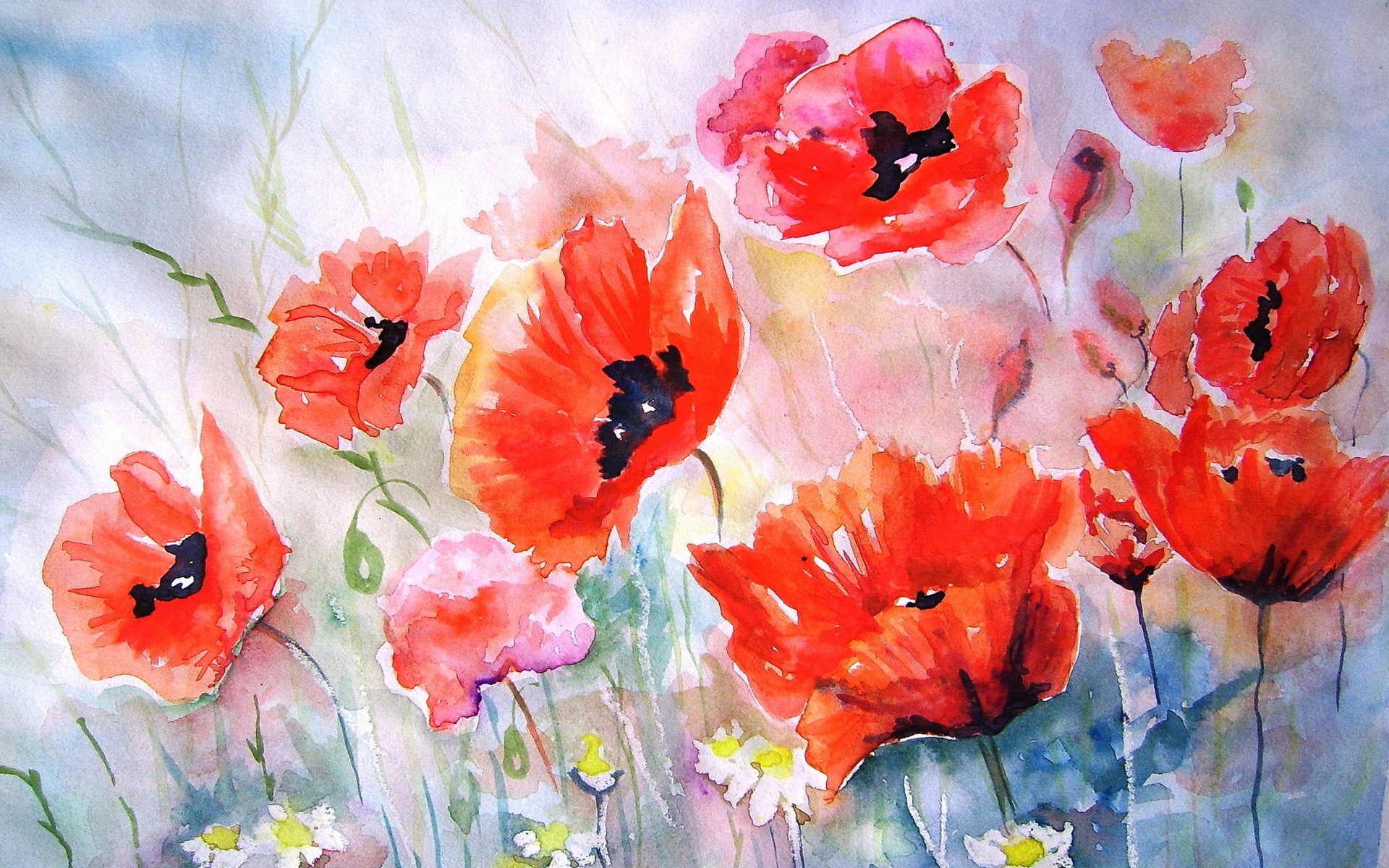 Poppies Flower Art Painting Bokeh Wallpaper