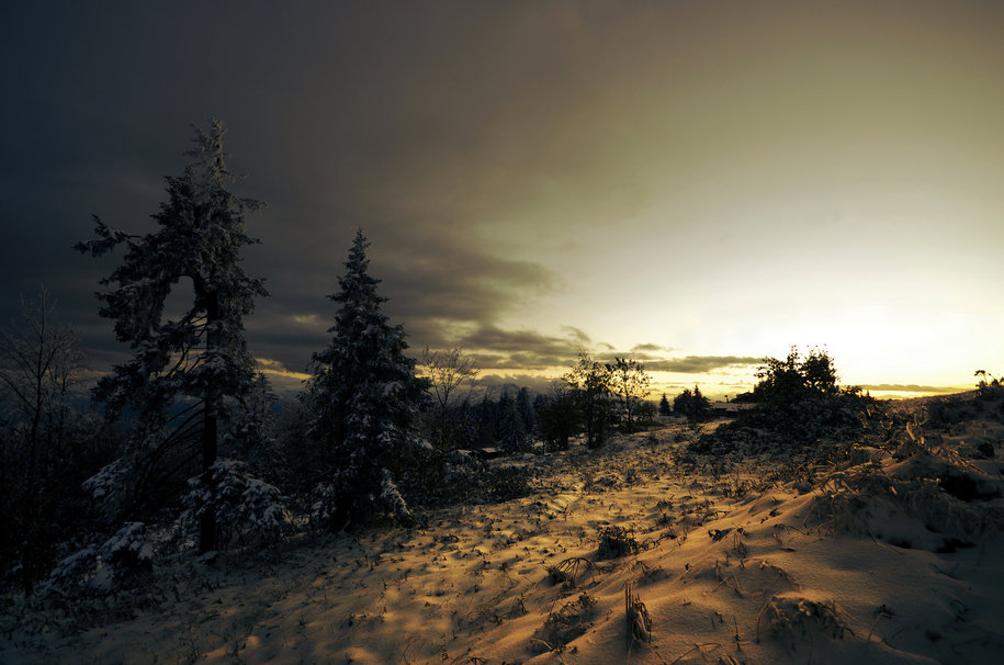 Snow trees winter pine spruce sunset clouds wallpaper