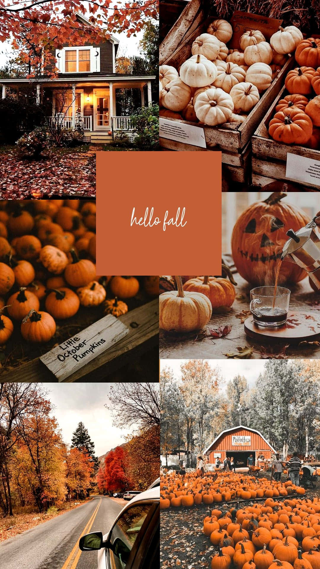 Cute Autumn Wallpaper