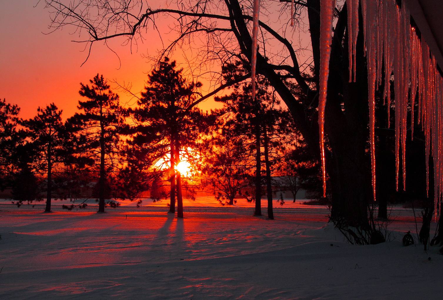 Winter Sunset Wallpaper For Your