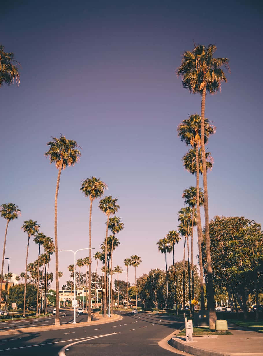Enjoy The Beauty Of California Summer Days Wallpaper