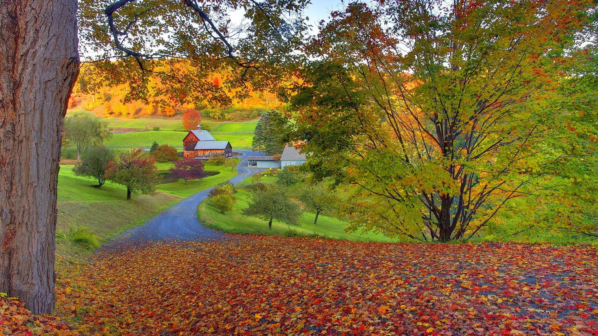 New England Fall Wallpaper