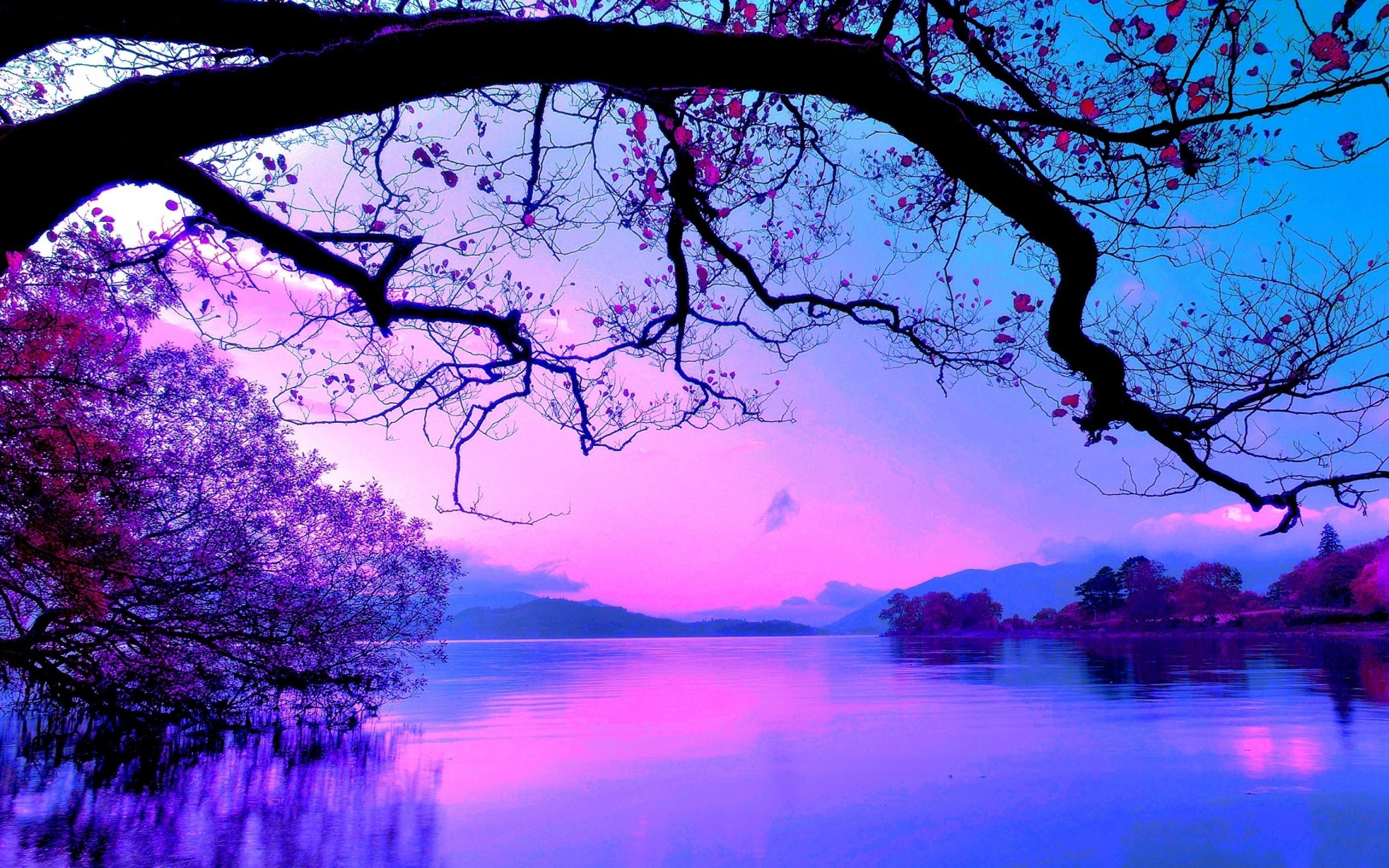 lavender Mountains Nature purple reflection sky Tree Violet wallpaper