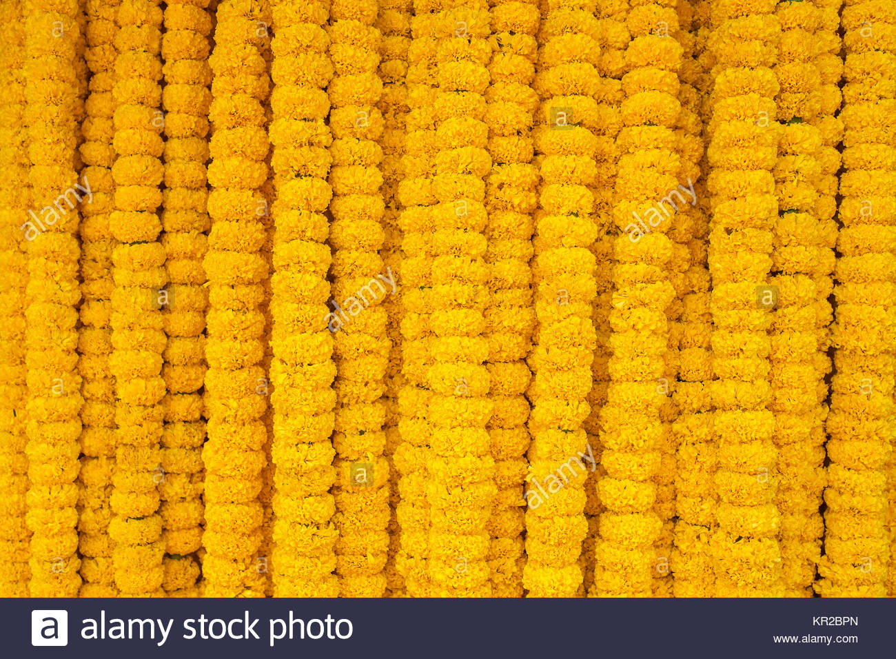 Yellow Marigold Flowers Garland Background Stock Photo