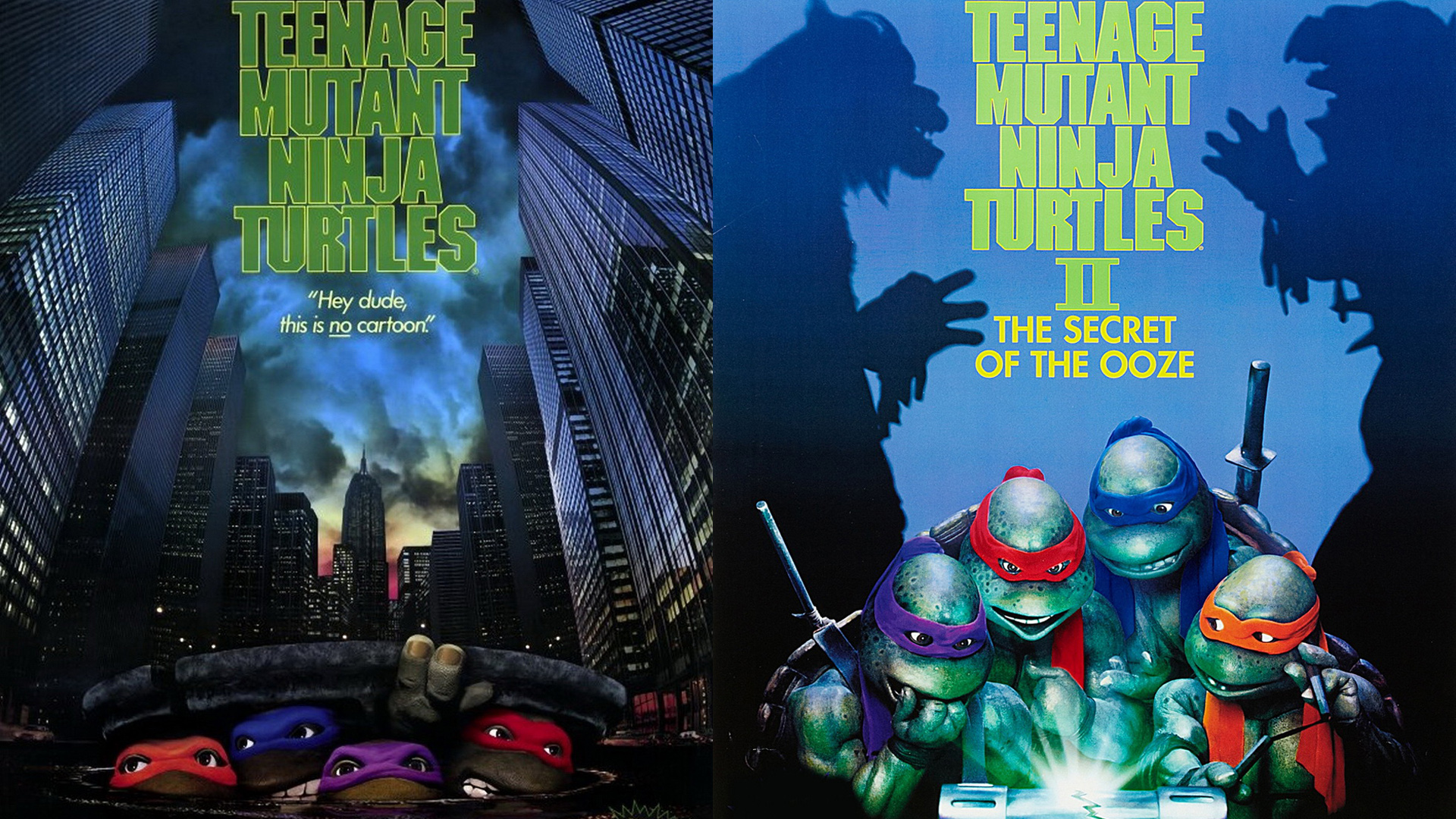 Wallpaper Tmnt Teenage Mutant Ninja Turtles Donatello Desktop