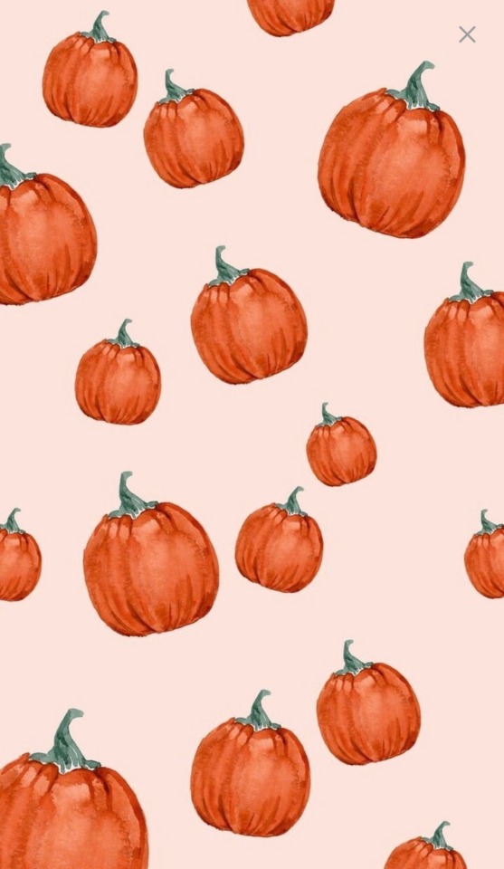 Free download Pumpkin Pie [557x960] for your Desktop, Mobile & Tablet |  Explore 27+ Pumpkin Aesthetic Wallpapers | Pumpkin Backgrounds, Pumpkin  Wallpaper, Pumpkin Wallpaper Free
