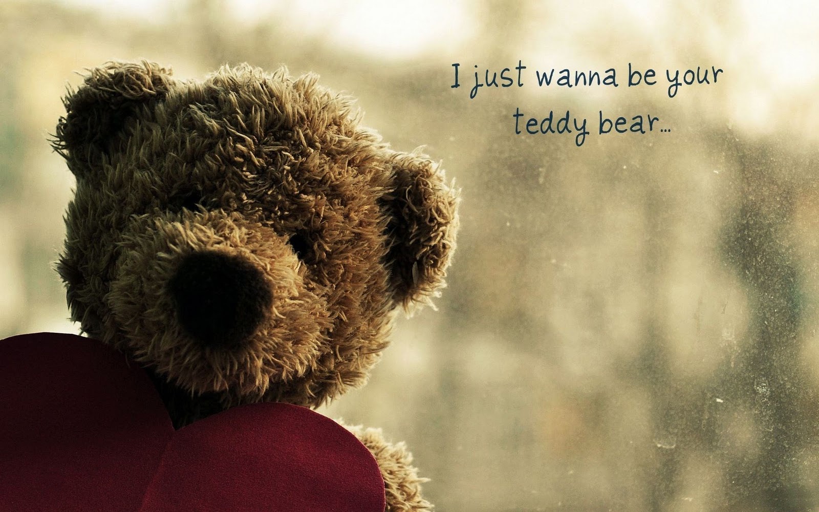 I Just Wanna Be Your Teddy Bear HD Wallpaper Love
