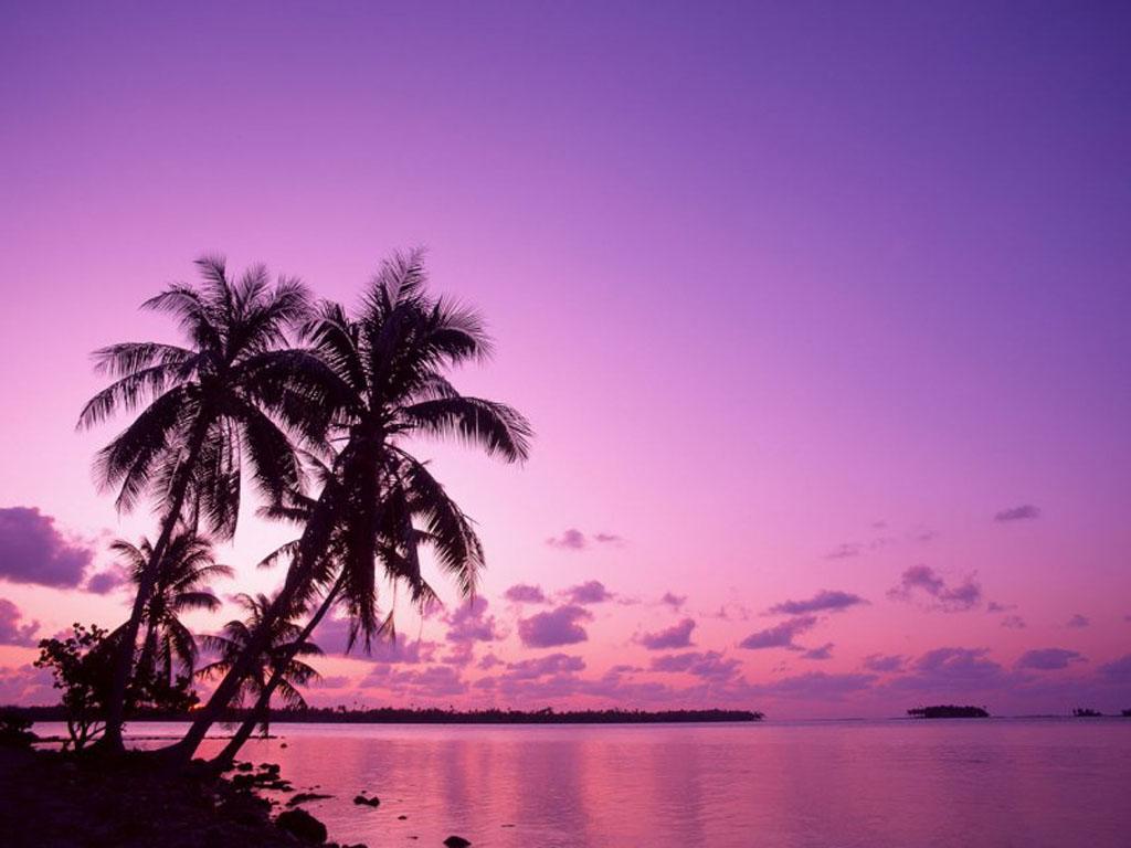 Purple Sunset On The Beach 9101 Hd Wallpapers in Beach   Imagescicom