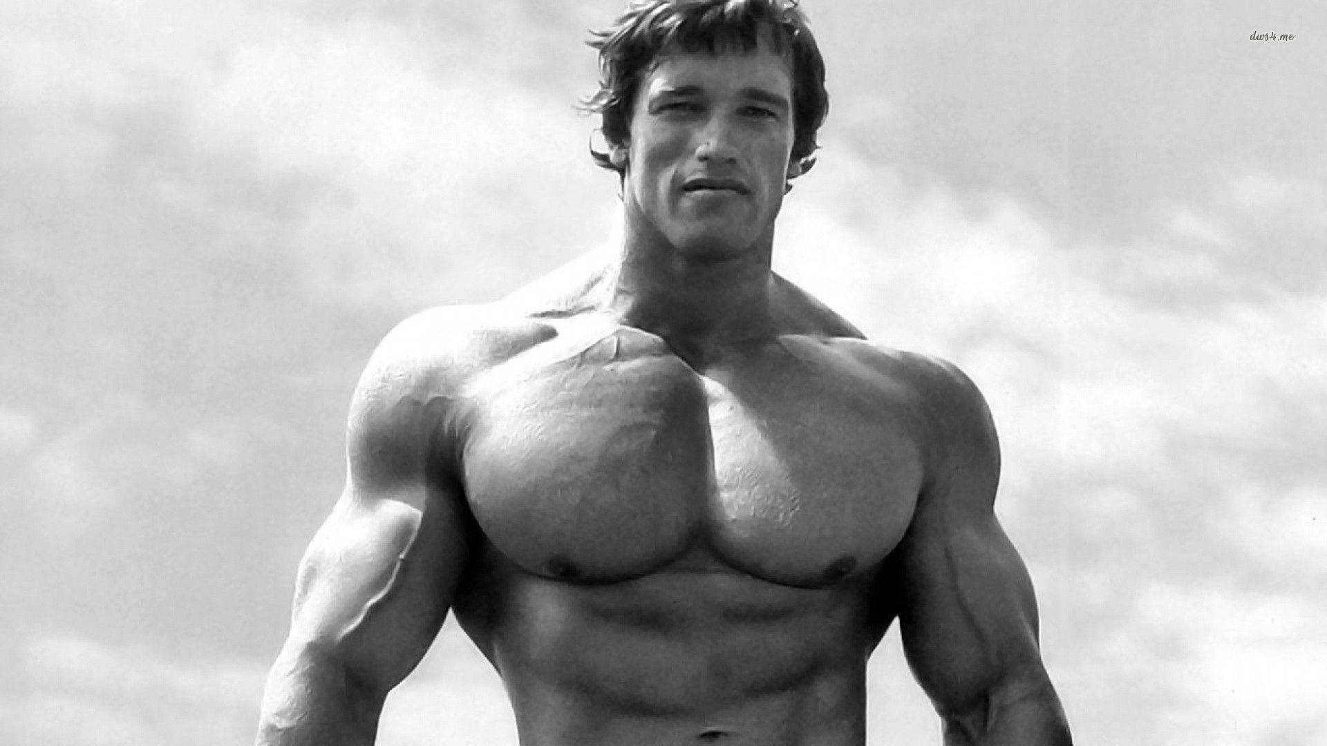 Arnold Schwarzenegger Wallpaper