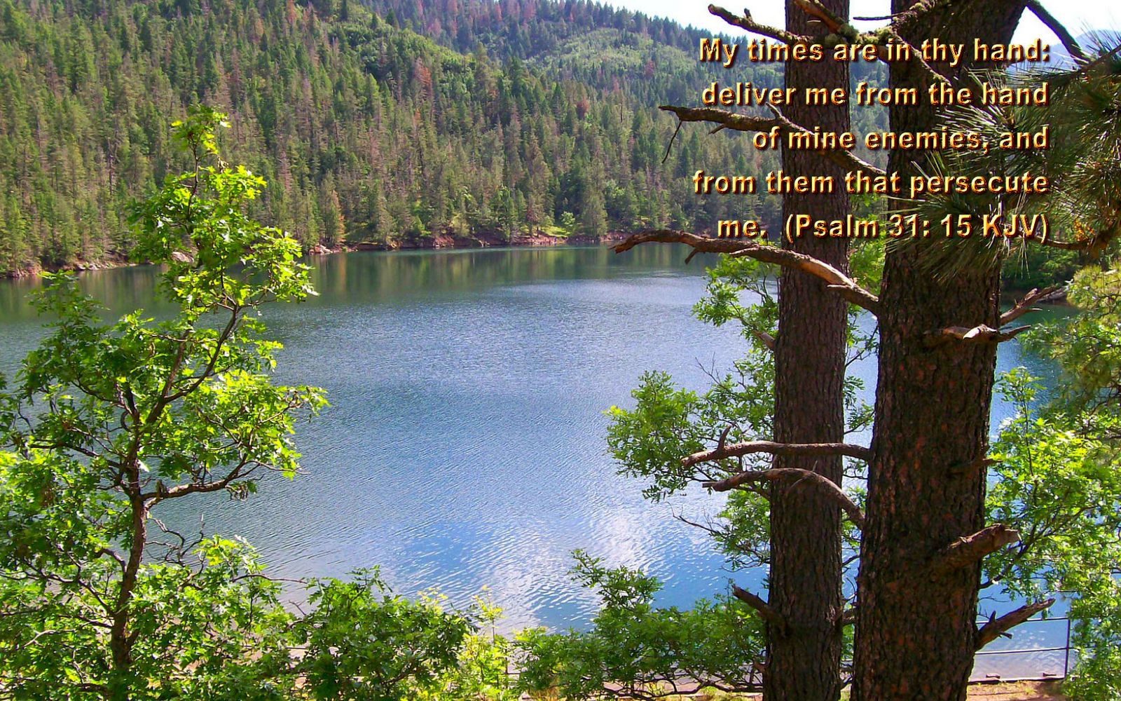 Bible Quotes Pictures Nature Background Christian