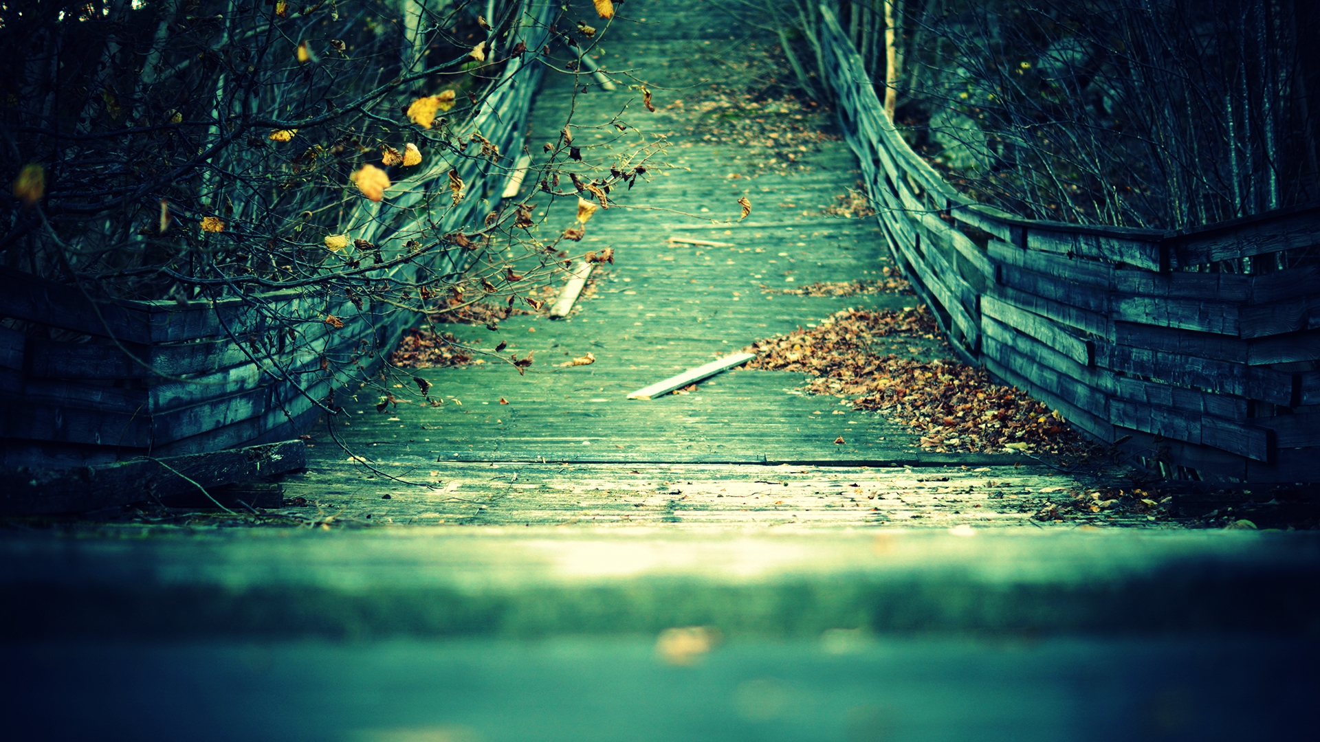 The Old Wooden Bridge With Yellow Foliage HD Desktop Wallpaper