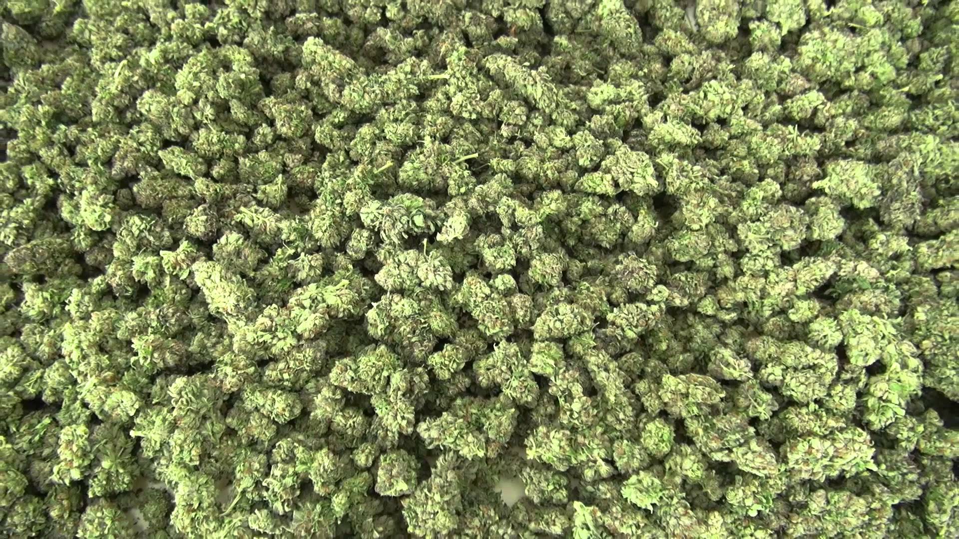 My First Post In This Sub Nugs Texture Treespaper