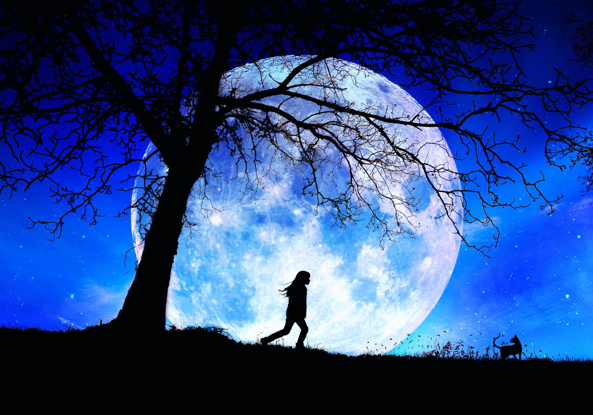 Moon Night Sky Wallpaper