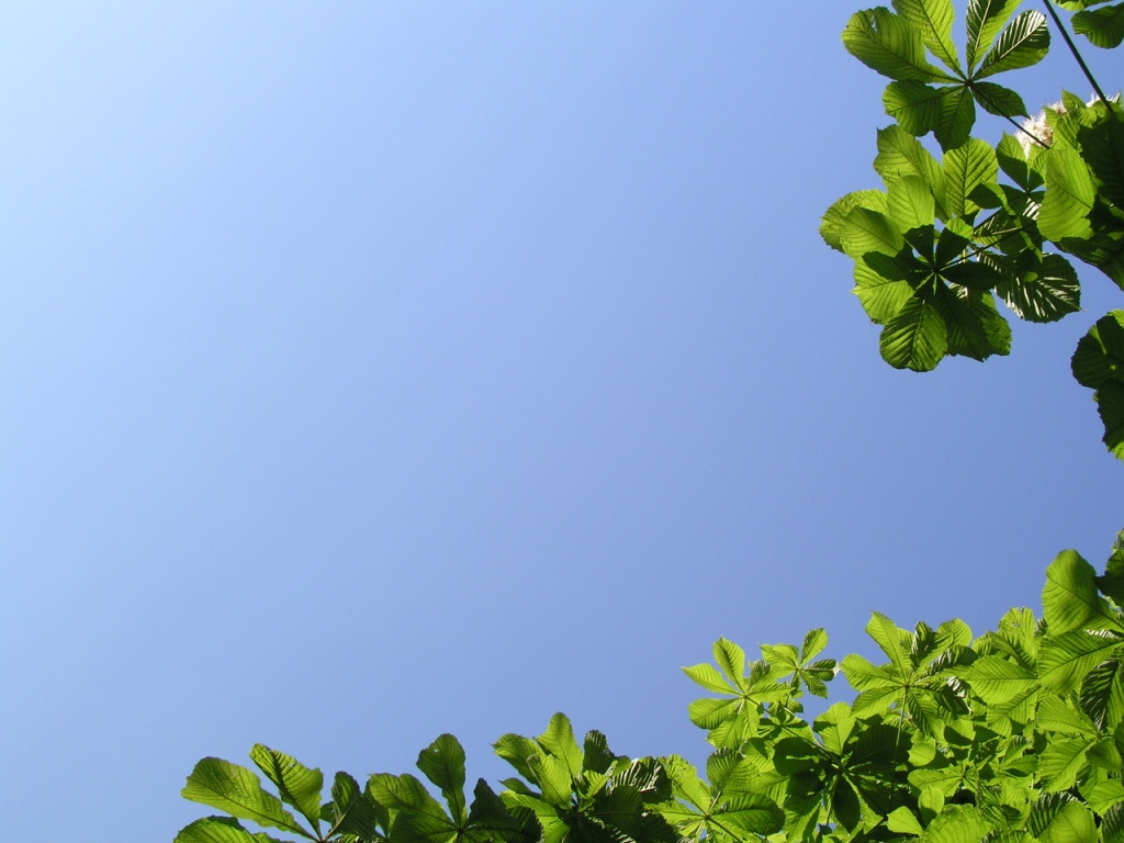 Summer Nature Desktop Pc And Mac Wallpaper