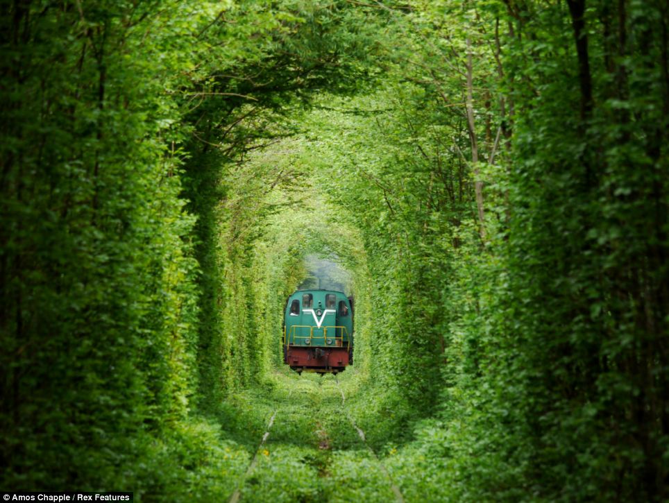 The Tunnel Of Love In Ukraine Is A Gorgeous Spot If You Green