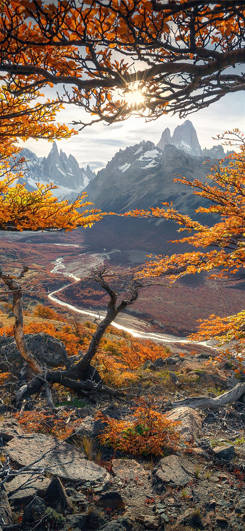 Beautiful Autumn Colours In Patagonia 4k iPhone Wallpaper