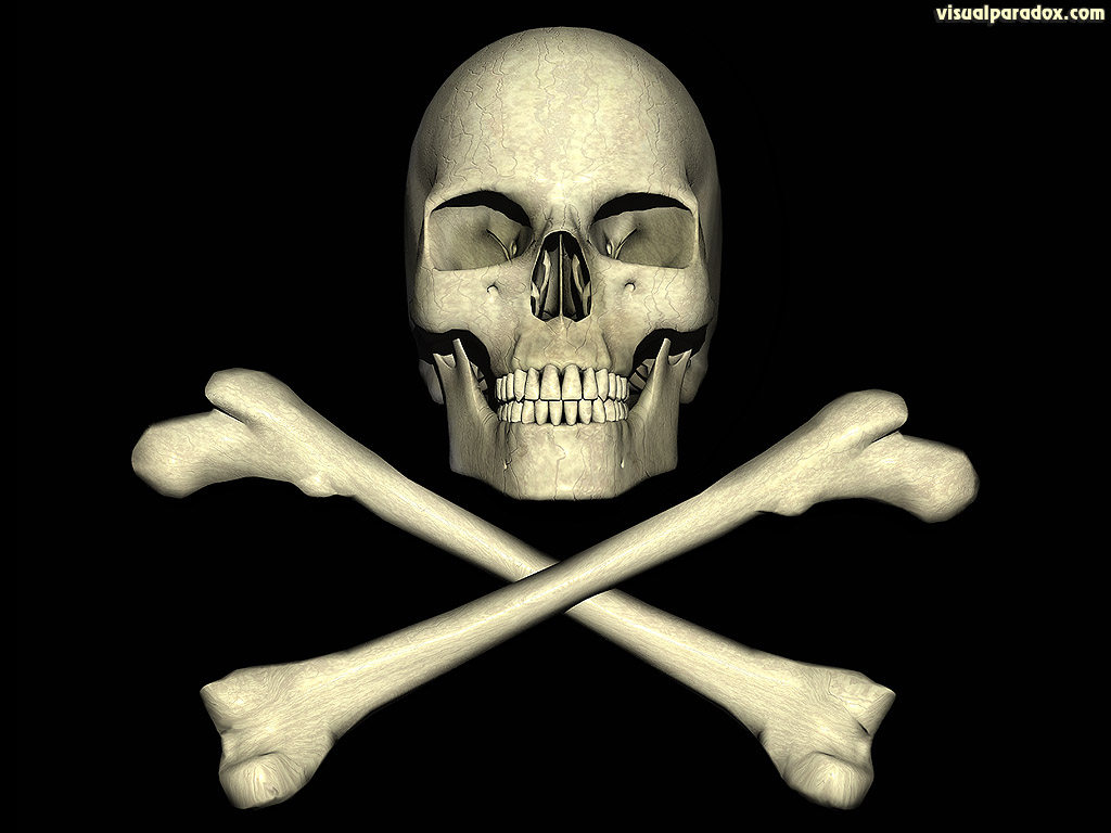 Jolly Roger Skull Pirate Bones Poison Deadly Danger Pirates