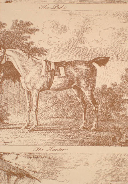 Gilpin Horses Classic Wallpaper