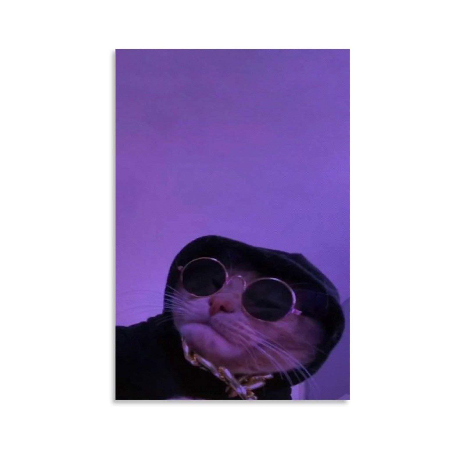 Amazon Aesthetic Wallpaper Cat With Glasses Purple