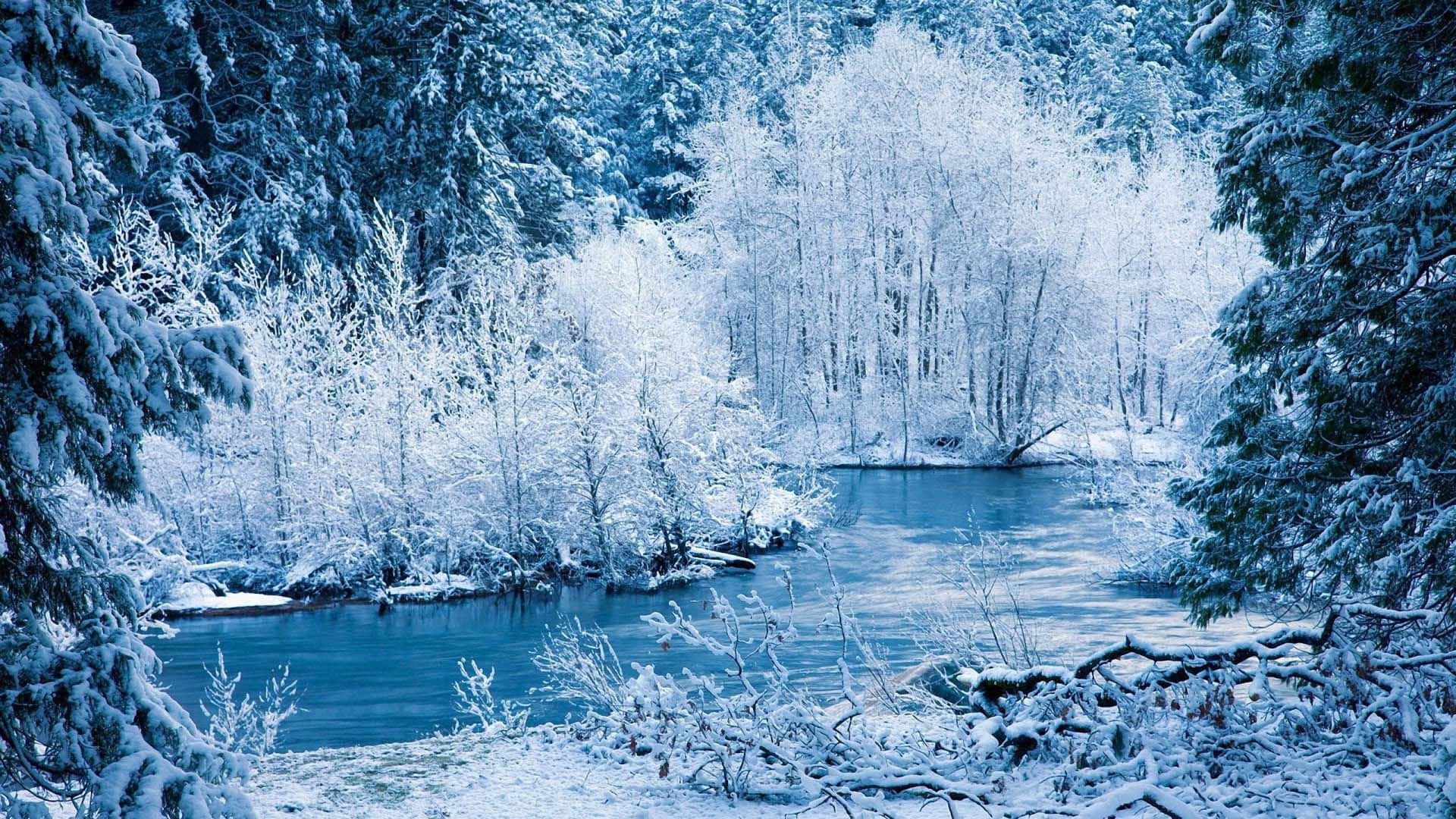Winter Snow Desktop Wallpaper
