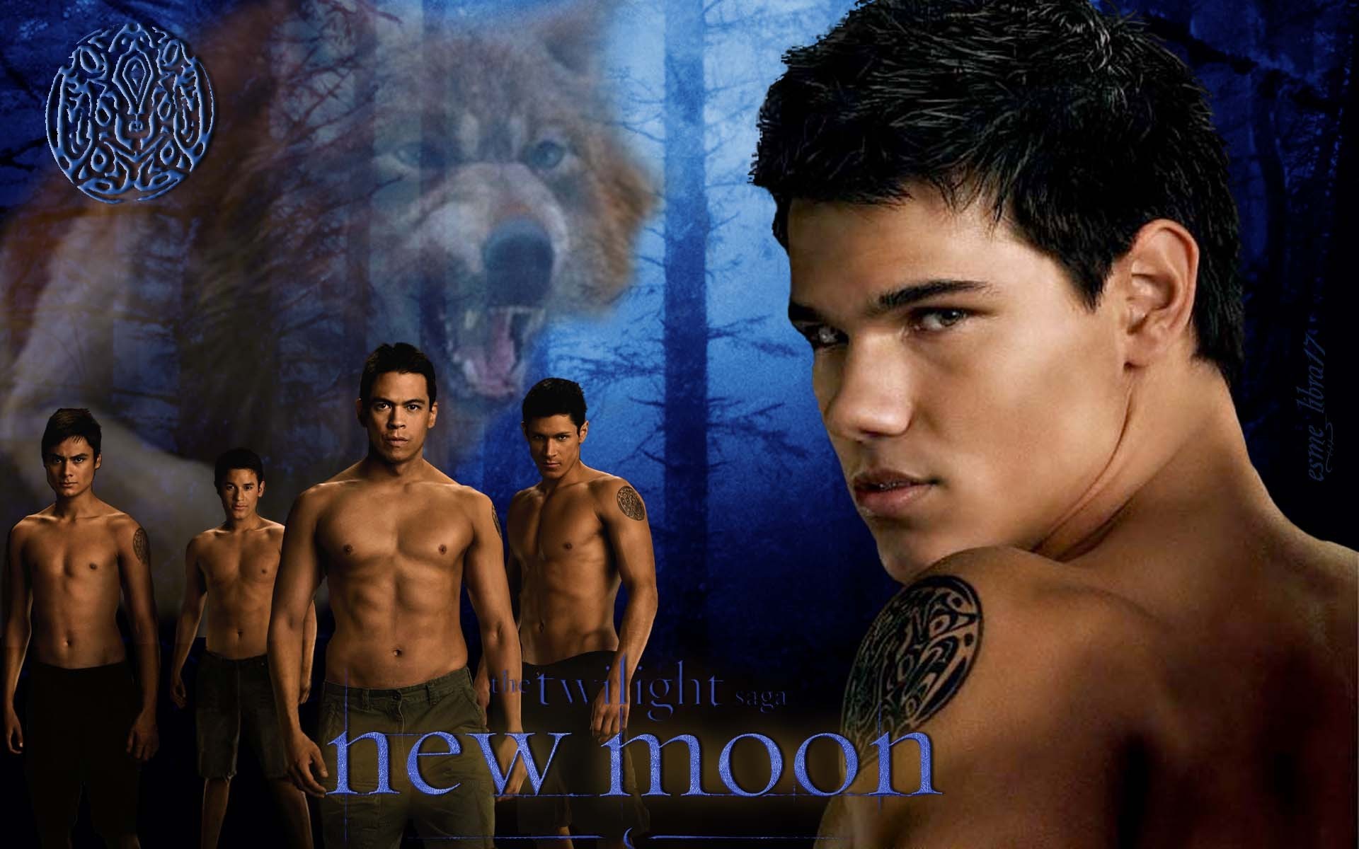 New Moon Wallpaper Werewolves Twilight Series