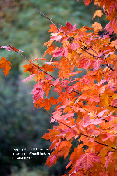 New England Fall Desktop Wallpaper In HD