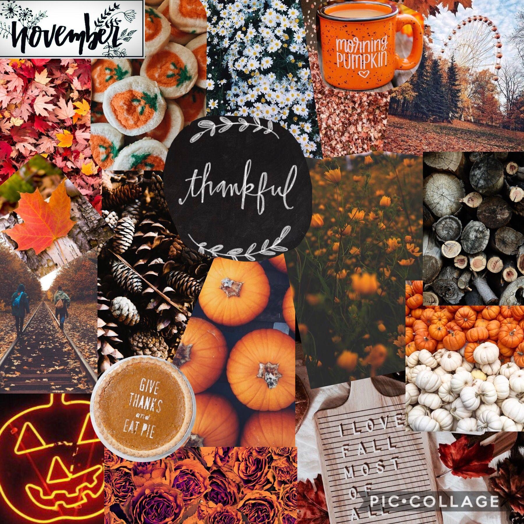 November Aesthetic Collage Wallpaper Thanksgiving