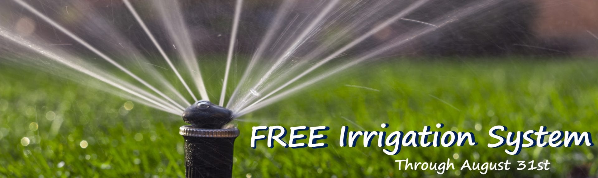 Automatic Sprinkler System Watering The Lawn On A Background Of