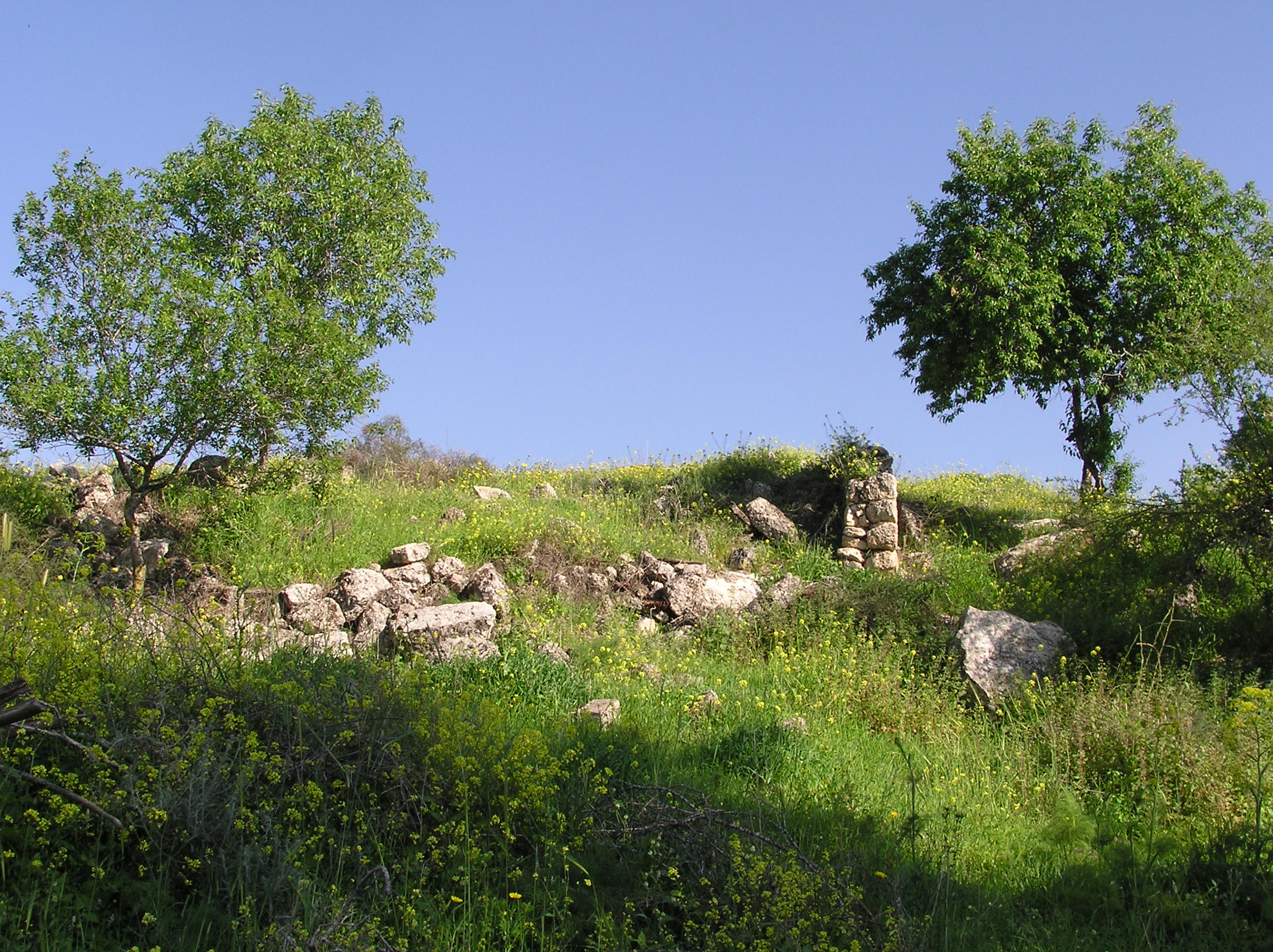 Israel Landscape Zwallpix