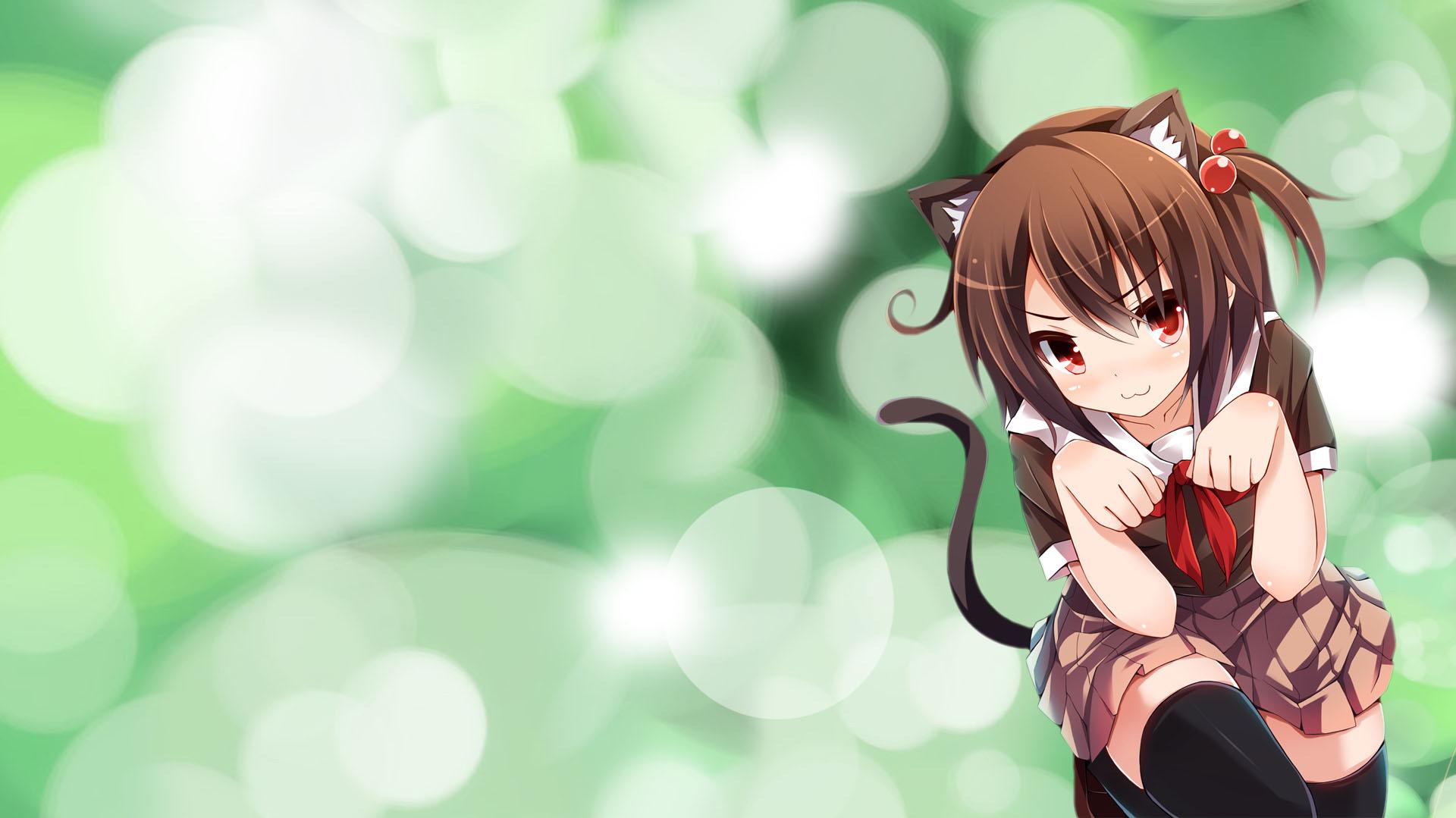  Cat Girl HD Wallpapers and Backgrounds