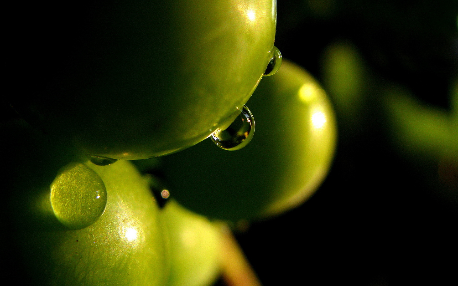 Olive Full HD Wallpaper And Background Id