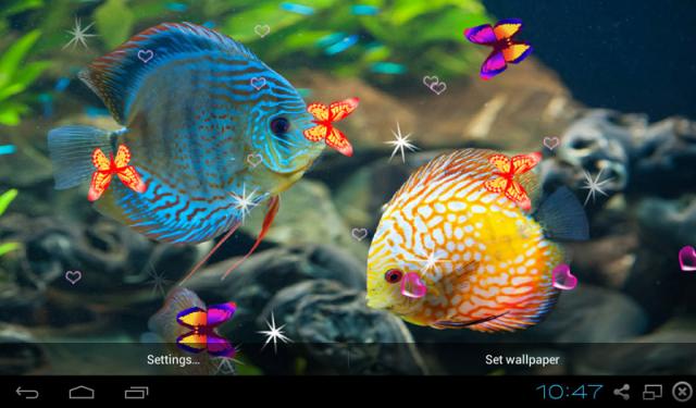 Lg Optimus G L 01e 3d Discus Aquarium Live Wallpaper App