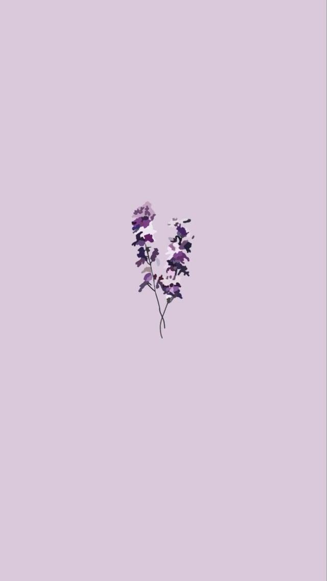 Simple lavender flowers phone wallpaper rSoftAesthetic