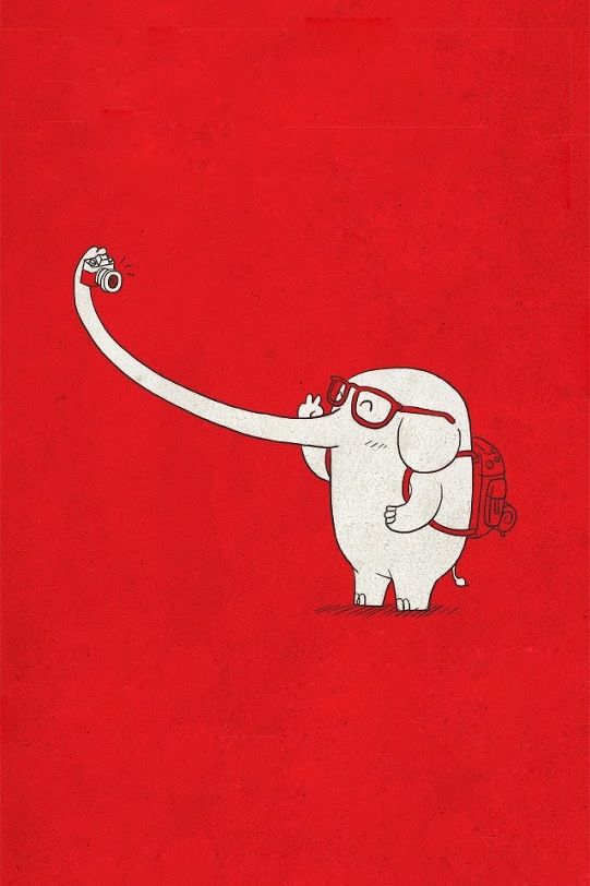 Elephant Selfie Illustration Art Time Humor Cute