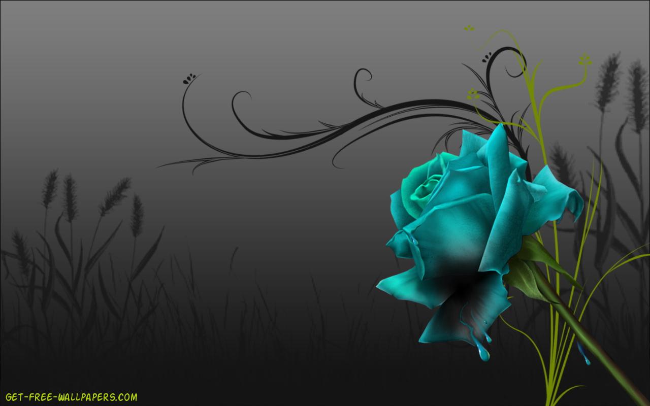 Blue Rose Wallpaper