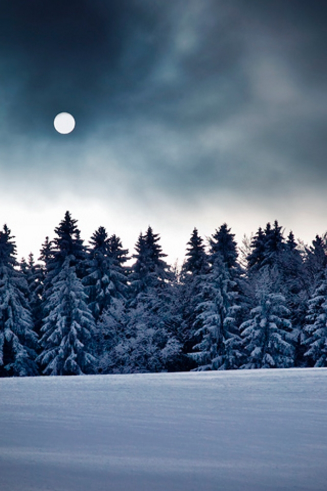 Winter Full Moon Ipod Touch Wallpaper Background And Theme