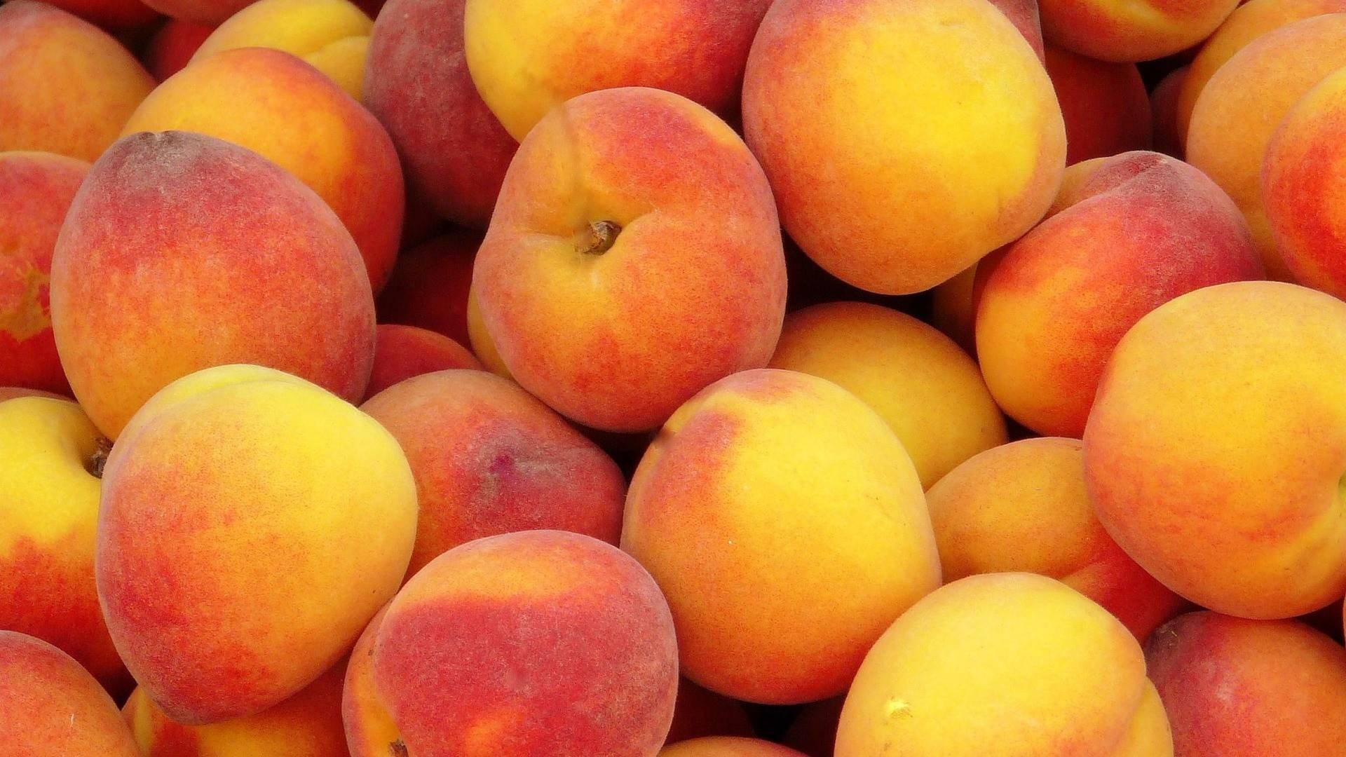 Peaches   Fruit Wallpaper 1920x1080