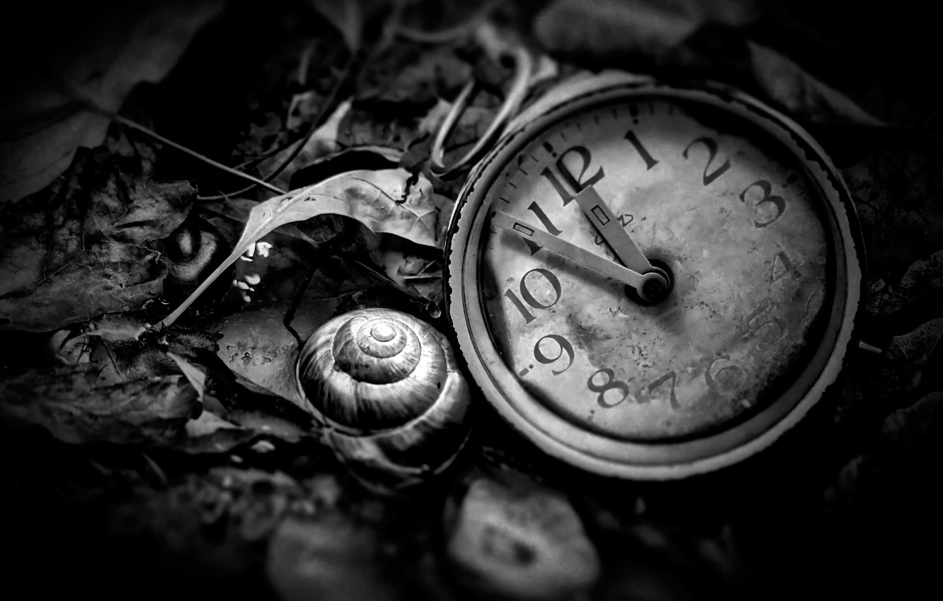 Wallpaper watch black and white Time is now images for desktop