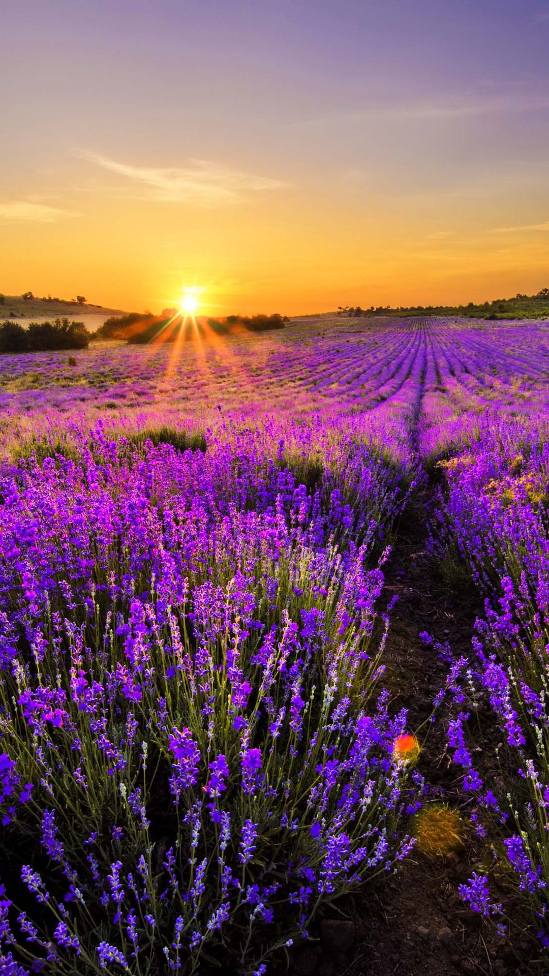Beautiful Nature Landscape iPhone Wallpaper To