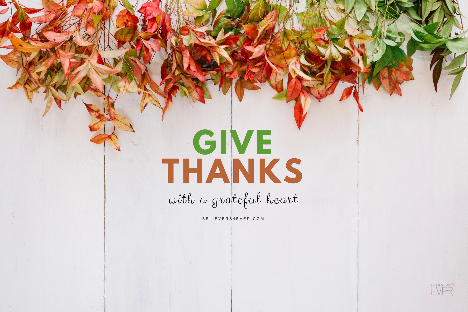 Give thanks with a grateful heart   Believers4evercom